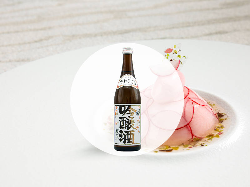 Dewazakura Kirschblüte / Coupole von Radieschen und Makrelentatar